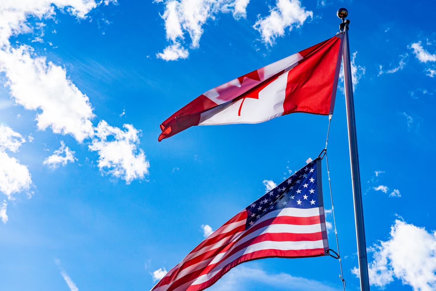North American Entrepreneurship Expansion Program